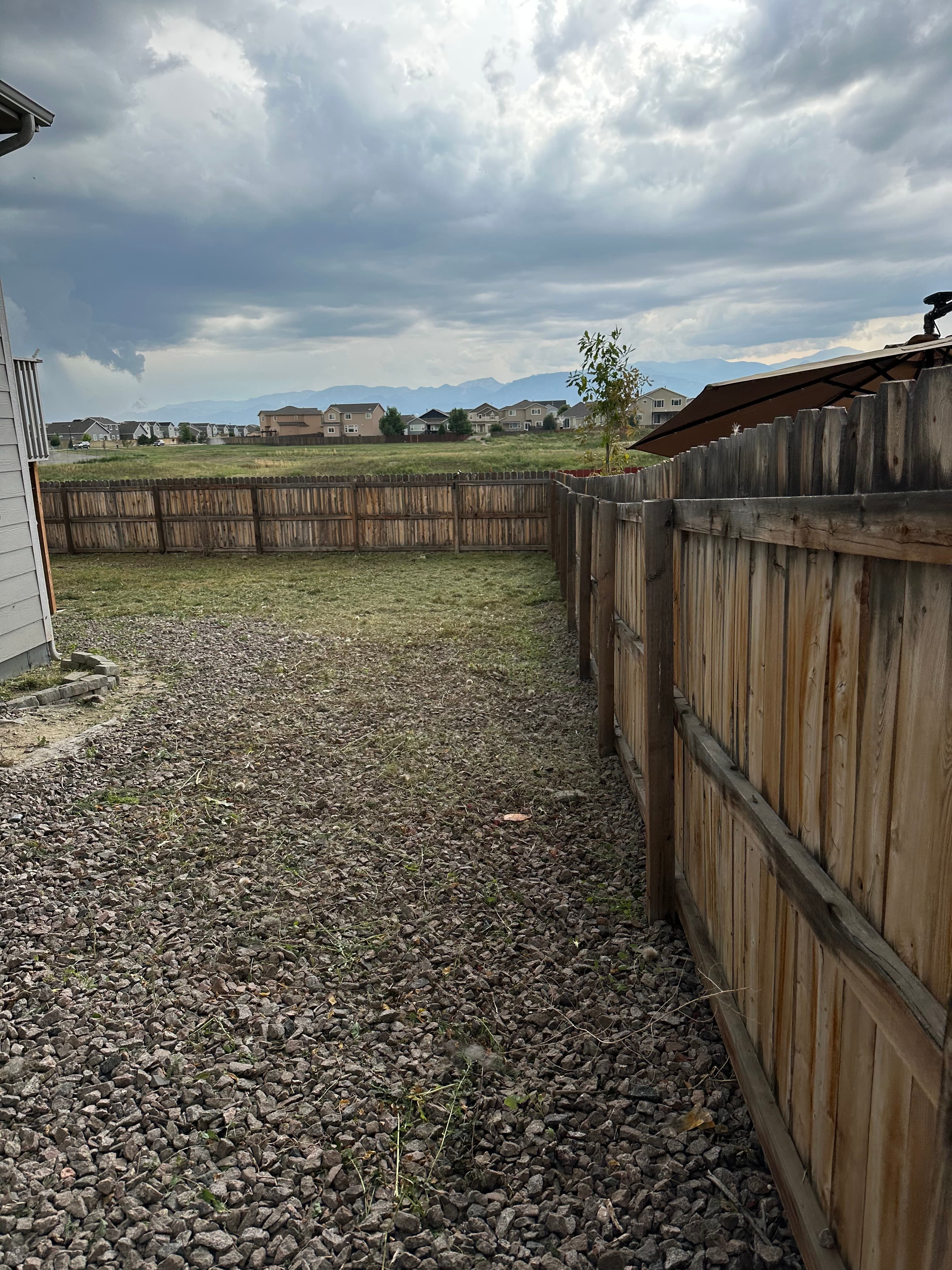 After cleanup - fully cleared yard, no tall grass or debris