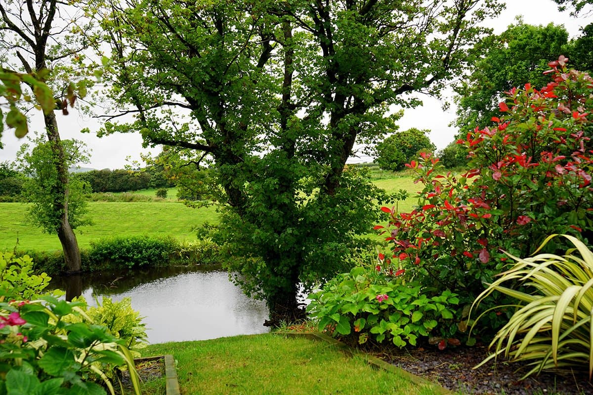 Safe and professional lawn care services