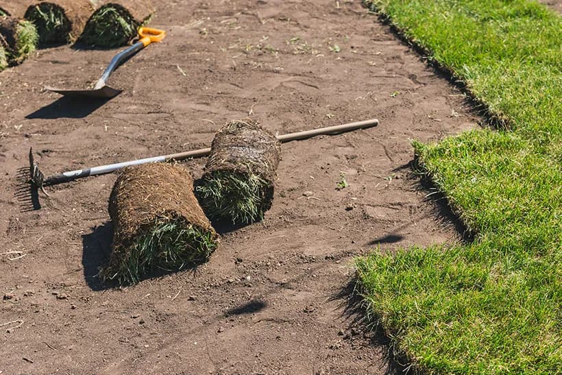 Sod installation