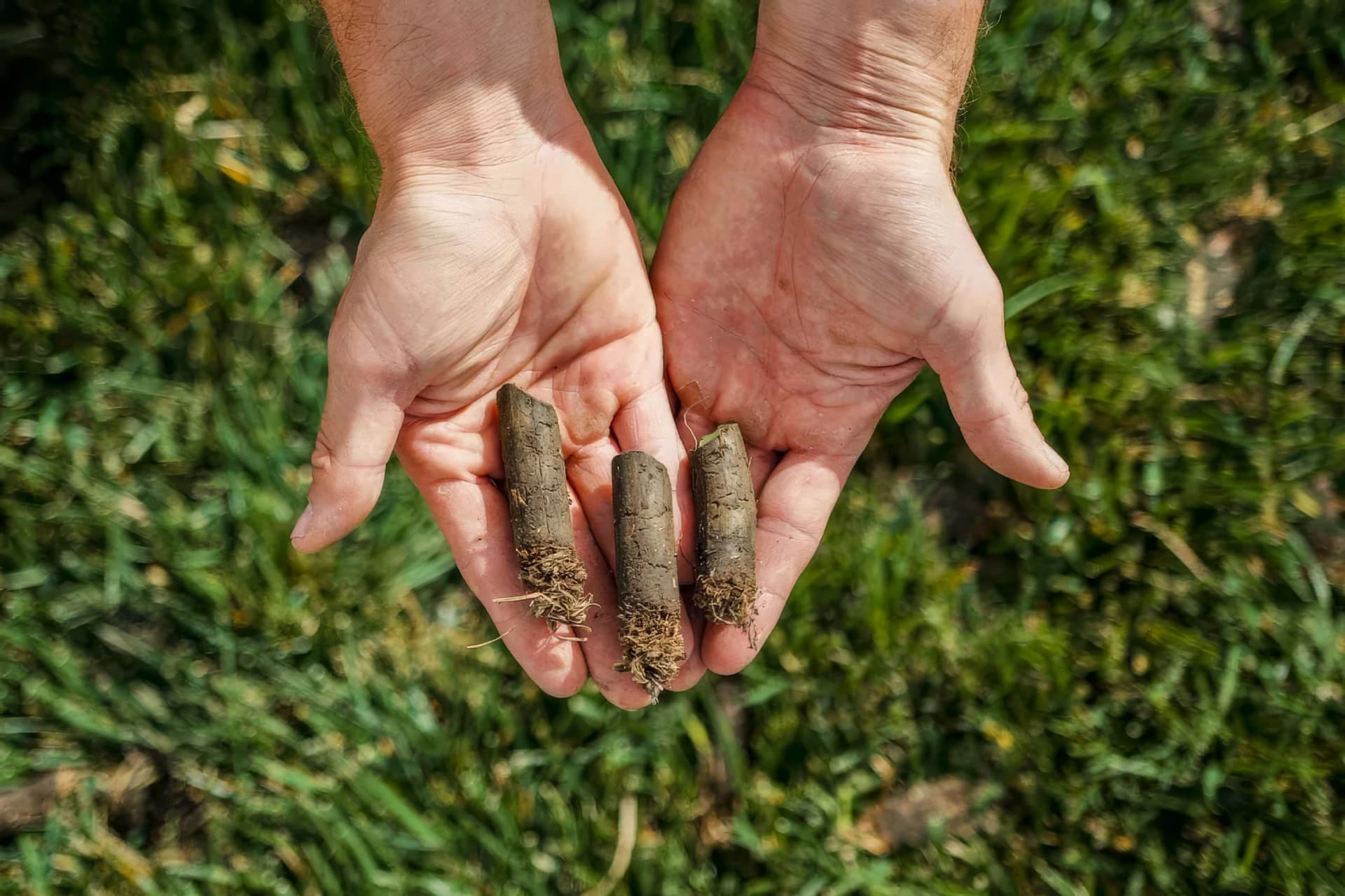 Core aeration