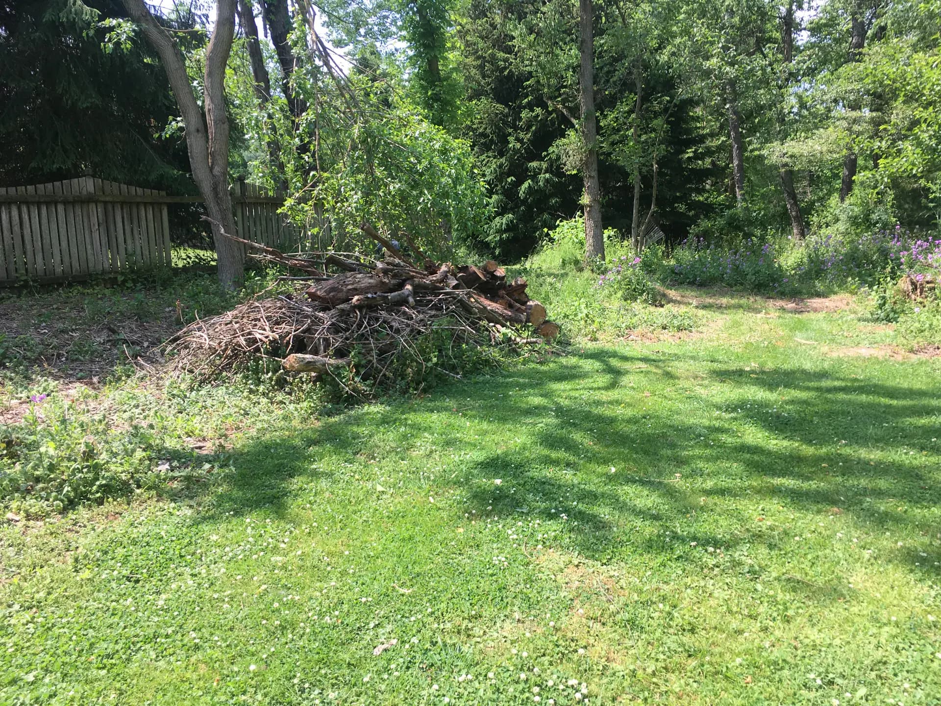 Debris Hauling & Junk Removal