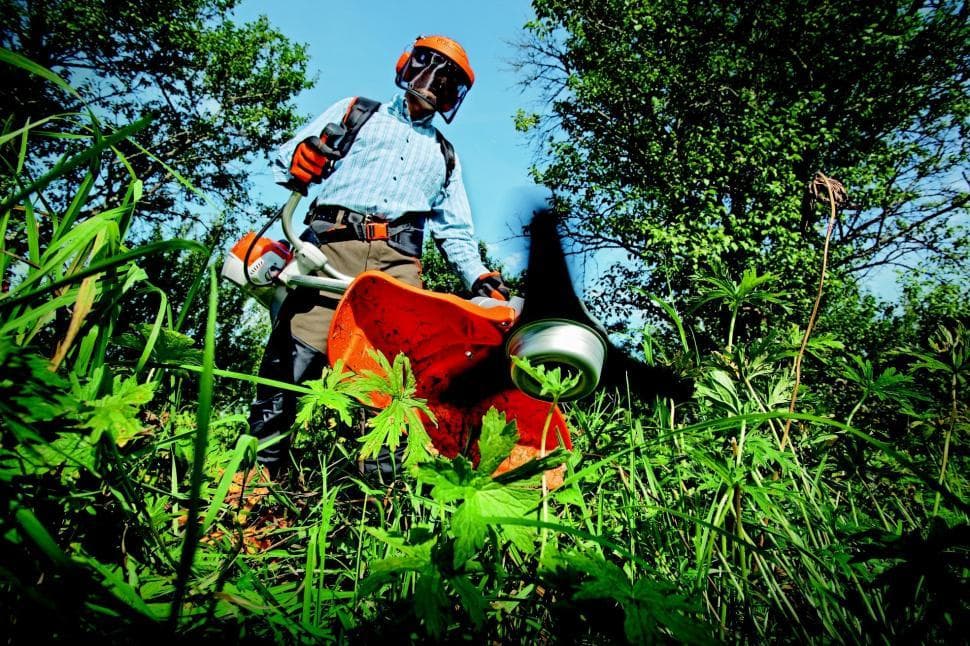 Overgrown Property Restoration