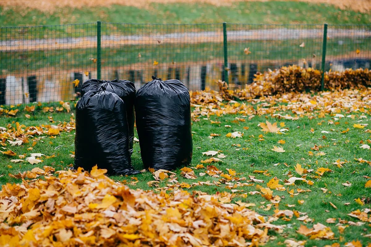 Seasonal Cleanups