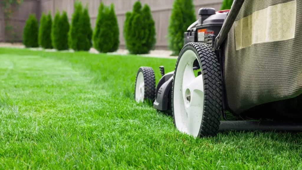 Weekly mowing and edging