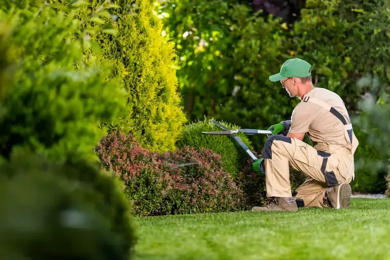 Beautiful manicured lawn in Colorado Springs